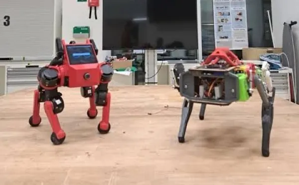AI Team